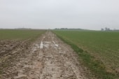 chemin imbibé